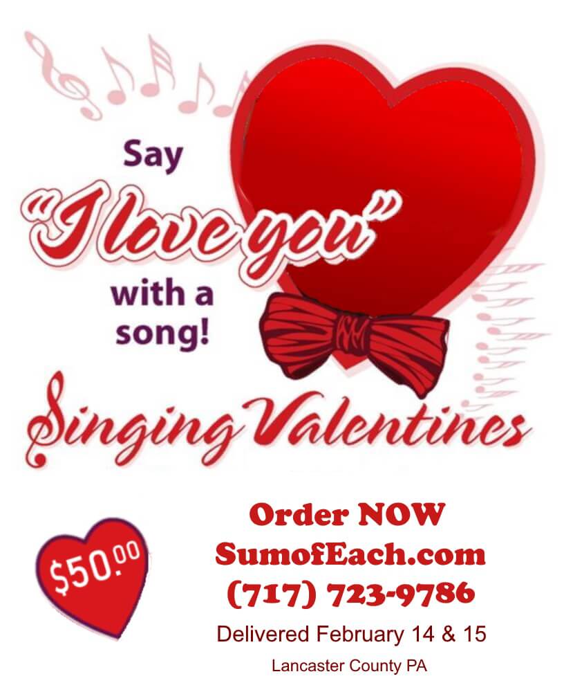 SV_Flyer_4